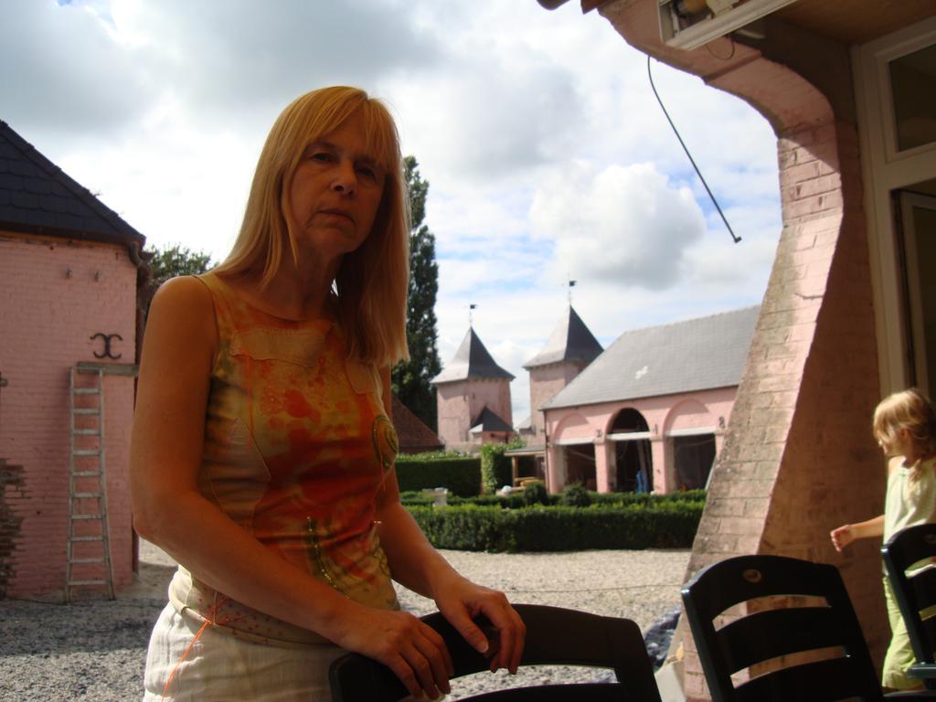B&B Chateau Bagatelle Frasnes-lez-Anvaing Exterior photo