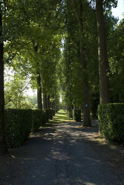 B&B Chateau Bagatelle Frasnes-lez-Anvaing Exterior photo