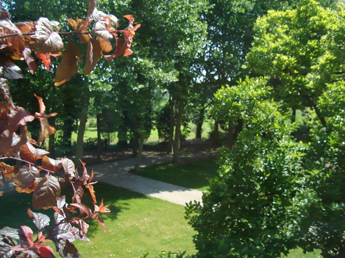 B&B Chateau Bagatelle Frasnes-lez-Anvaing Exterior photo